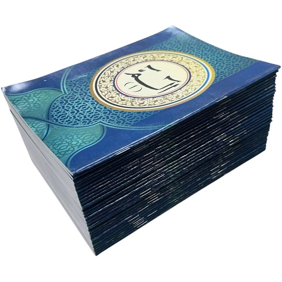 30 Para Juz Set Holy Quran IndoPak Script 9 Line Softcover (Color May Vary)